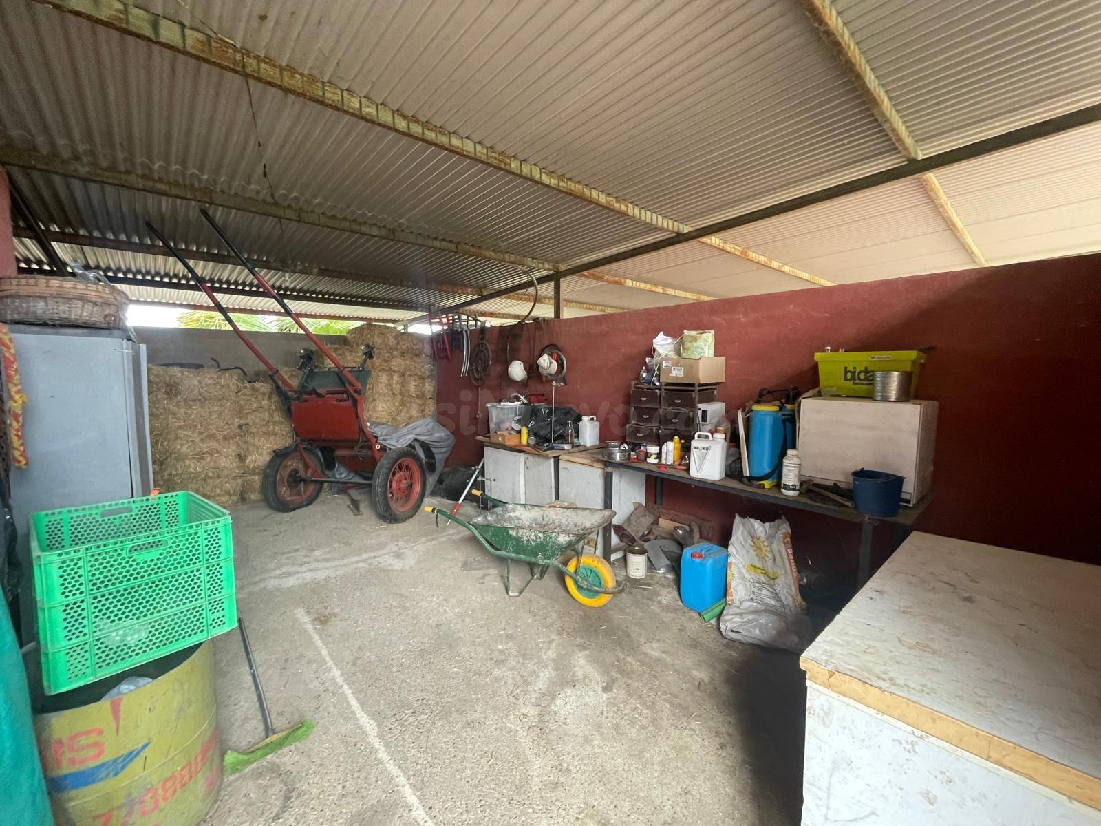 FINCA EN VENTA NIEBLA - foto 4