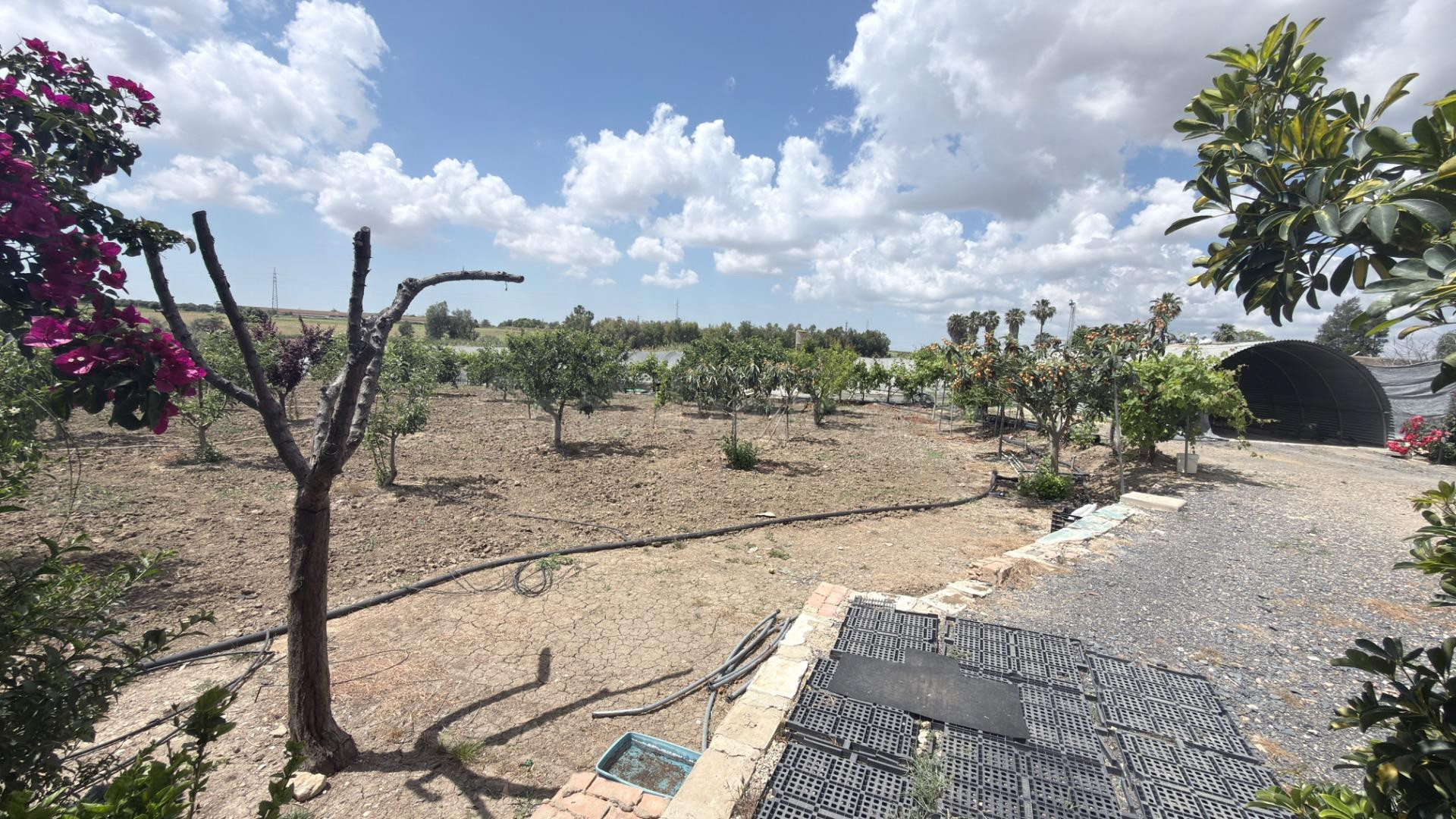 FINCA RÚSTICA CON GRAN POTENCIAL AGRÍCOLA Y RECREATIVO
