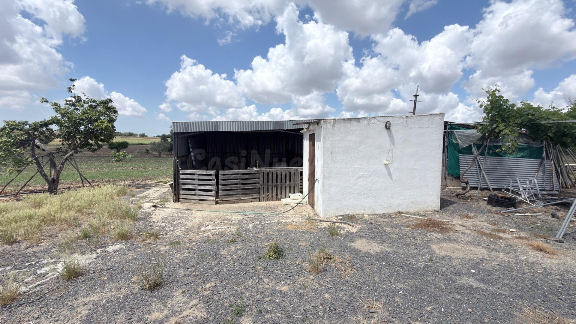 FINCA RÚSTICA CON GRAN POTENCIAL AGRÍCOLA Y RECREATIVO - foto 2