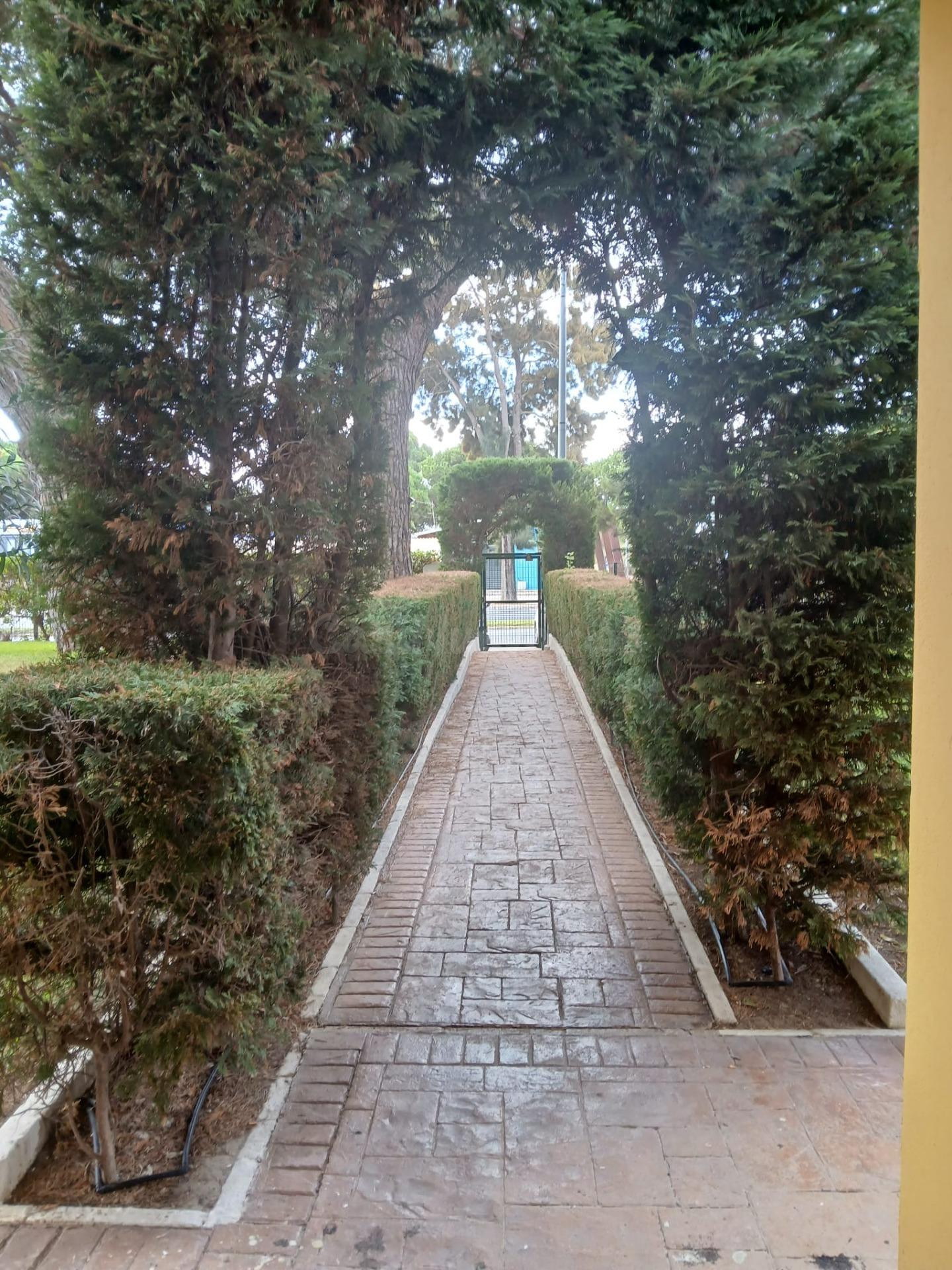 PRECIOSO APARTAMENTO EN EL PORTIL (HUELVA)