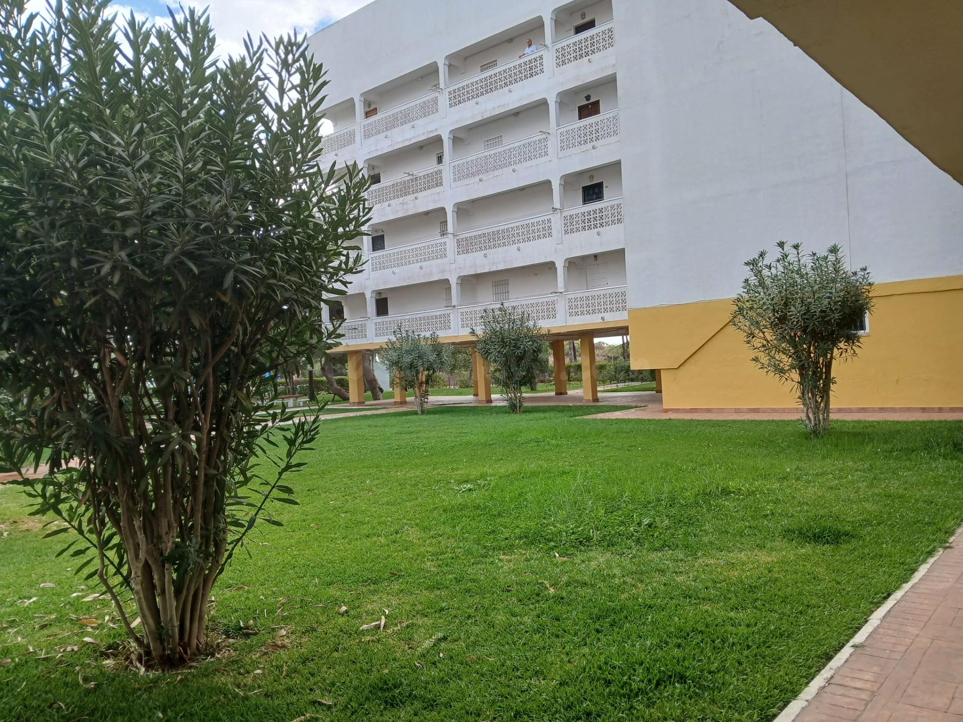 PRECIOSO APARTAMENTO EN EL PORTIL (HUELVA) - foto 3