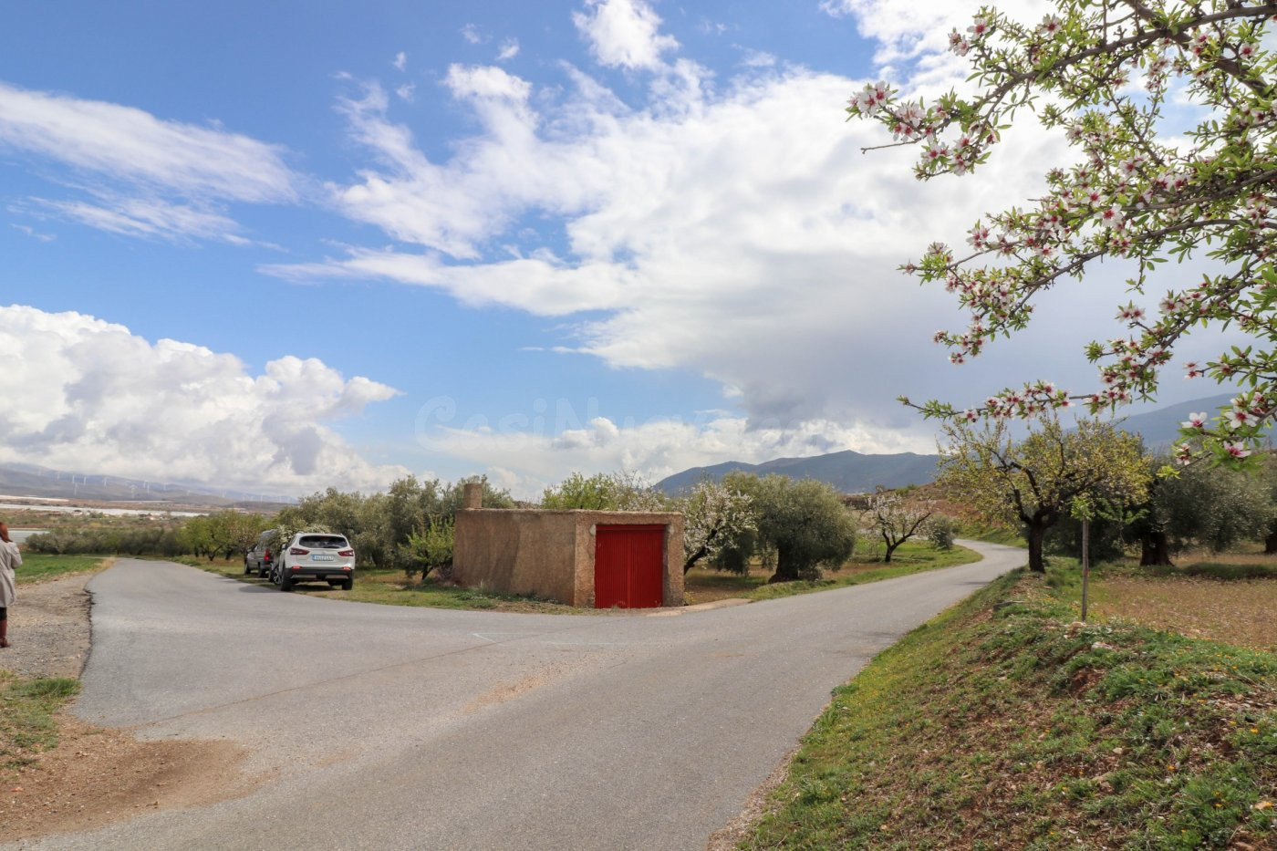 FINCA DE OLIVOS Y ALMENDROS EN FIÑANA