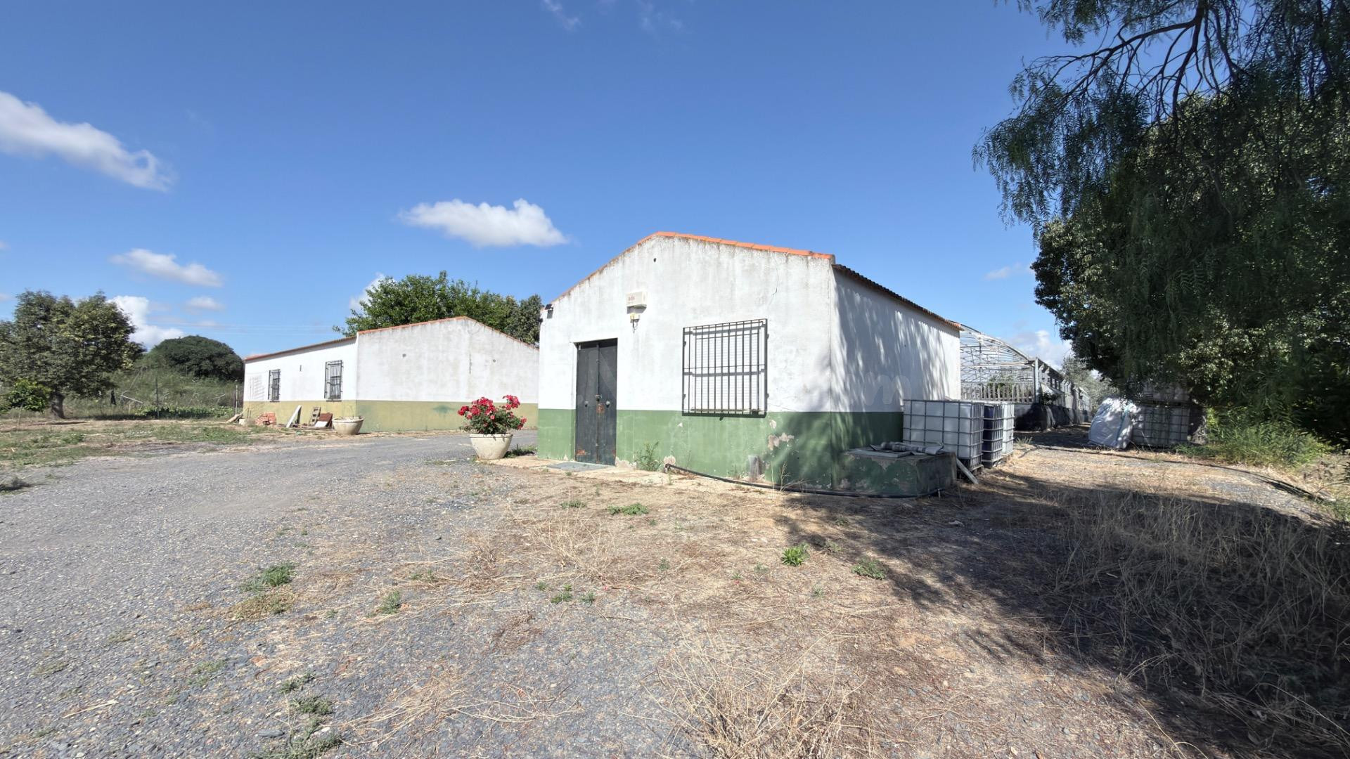 FINCA RÚSTICA DE ALTO POTENCIAL AGRÍCOLA Y DE INVERSIÓN EN LA RIBERA (HUELVA)
