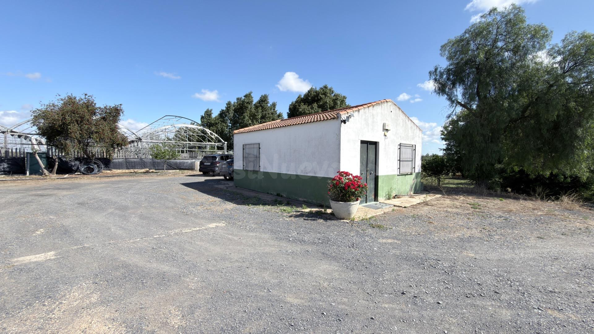 FINCA RÚSTICA DE ALTO POTENCIAL AGRÍCOLA Y DE INVERSIÓN EN LA RIBERA (HUELVA) - foto 3