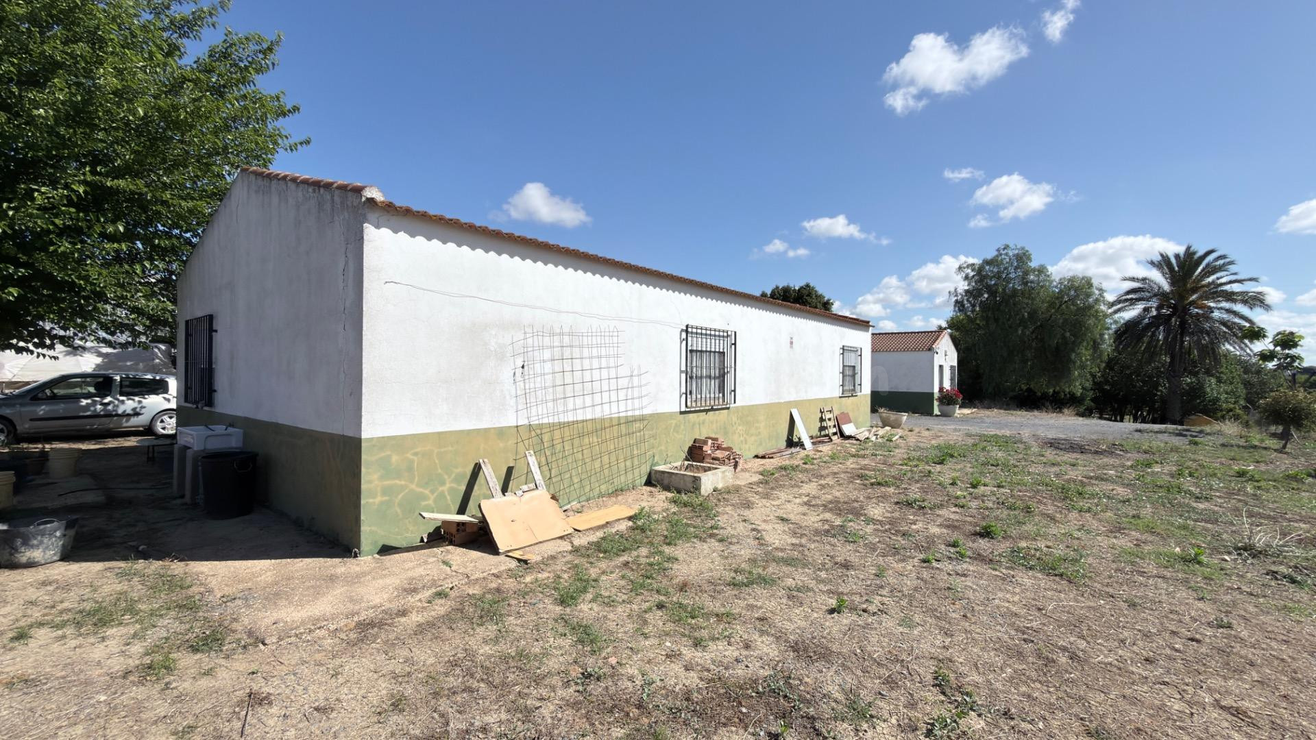 FINCA RÚSTICA DE ALTO POTENCIAL AGRÍCOLA Y DE INVERSIÓN EN LA RIBERA (HUELVA) - foto 4