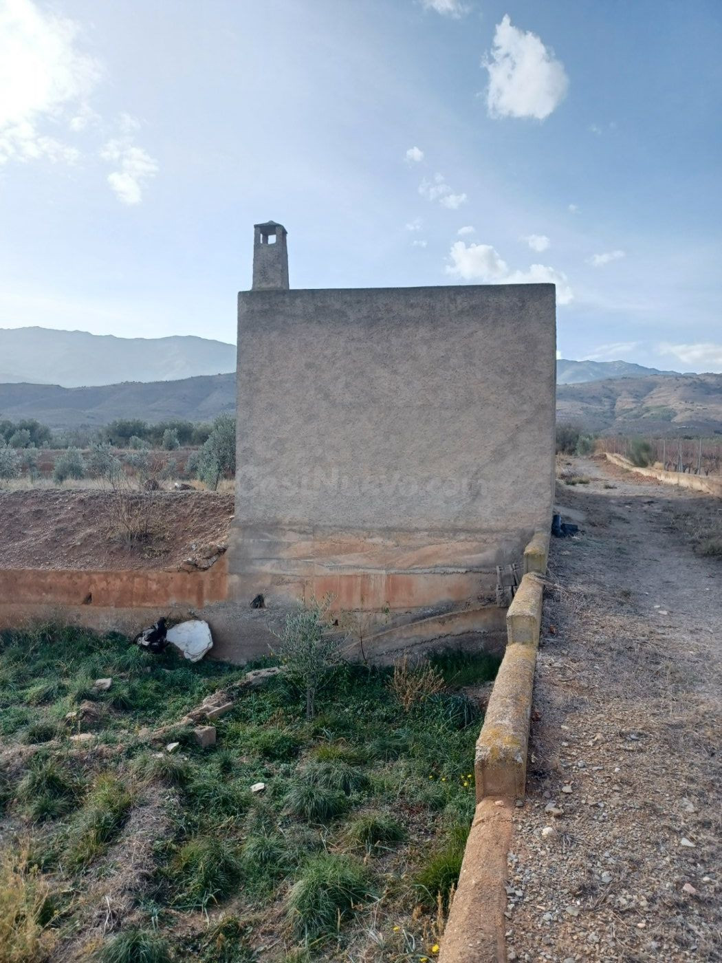 SE  VENDE FINCA RUSTICA CON OLIVOS EN ABRUCENA - foto 3