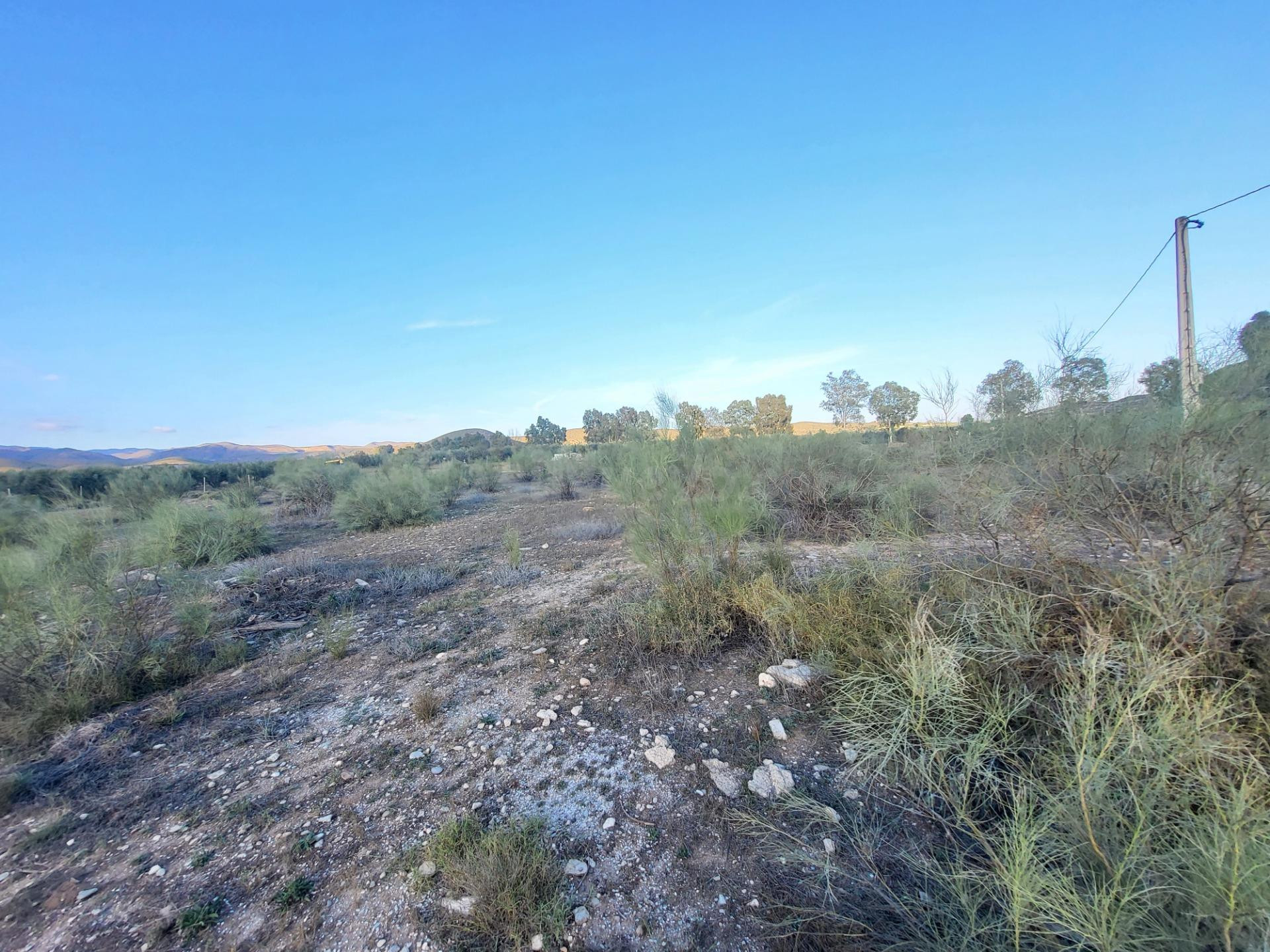 SE VENDE PARCELA EN TABERNAS PARAJE PEDREGALES - foto 4