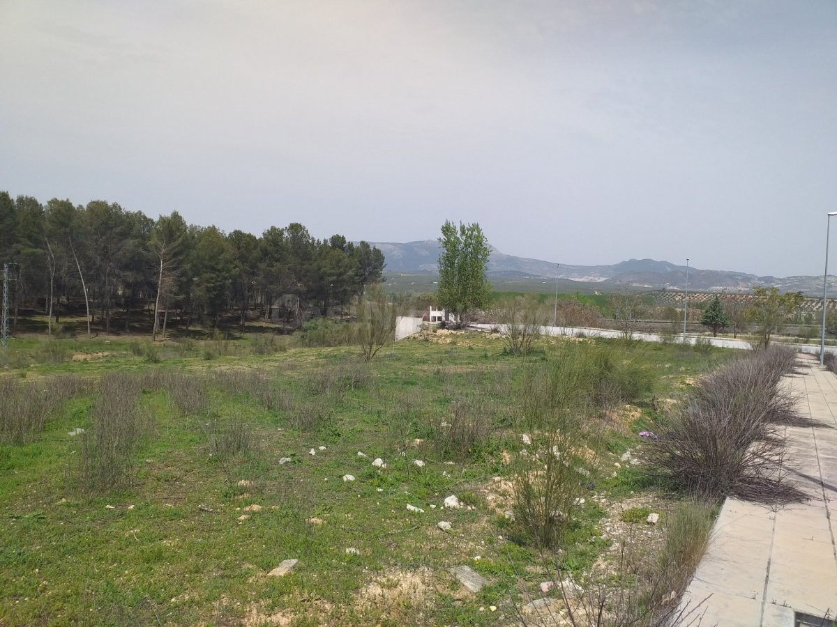 TERRENO INDUSTRIAL EN POLIGONO LACHAR - foto 3