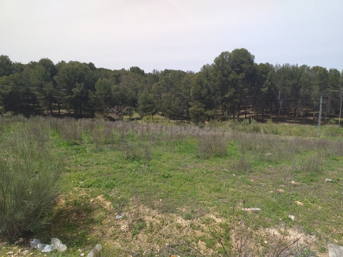 TERRENO INDUSTRIAL EN POLIGONO LACHAR - foto 4