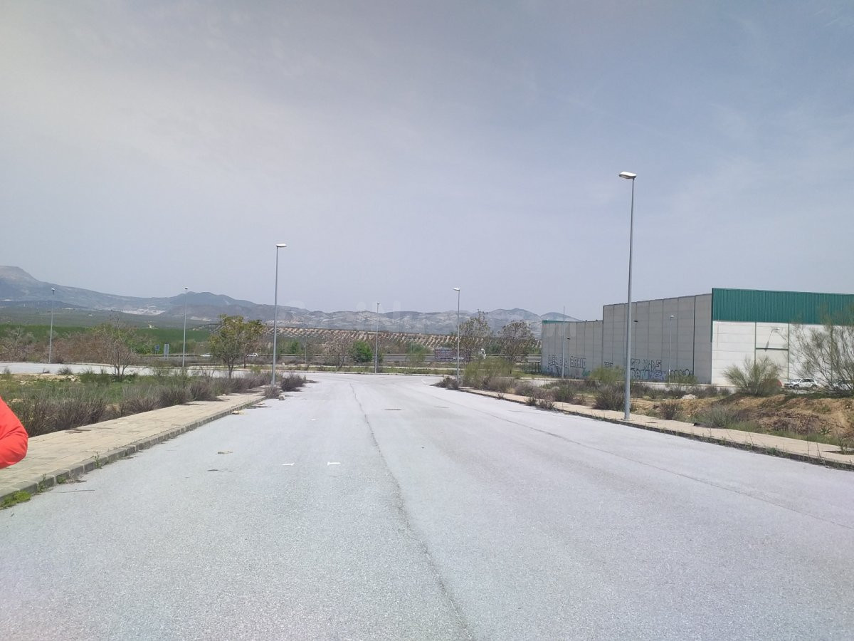 TERRENO INDUSTRIAL EN POLIGONO LACHAR - foto 5