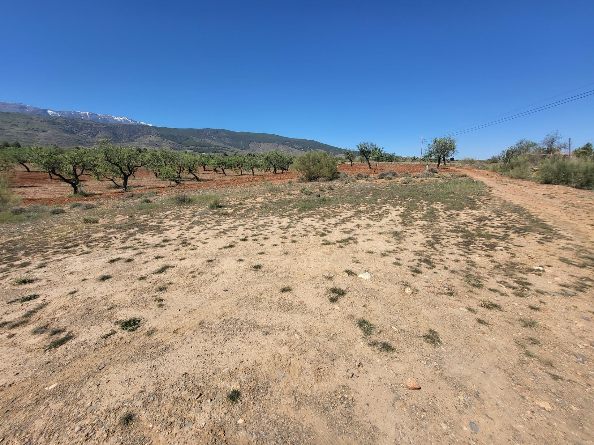 SE VENDE PARCELA  RUSTICA EN ABRUCENA  ZONA CAMPILLO - foto 3