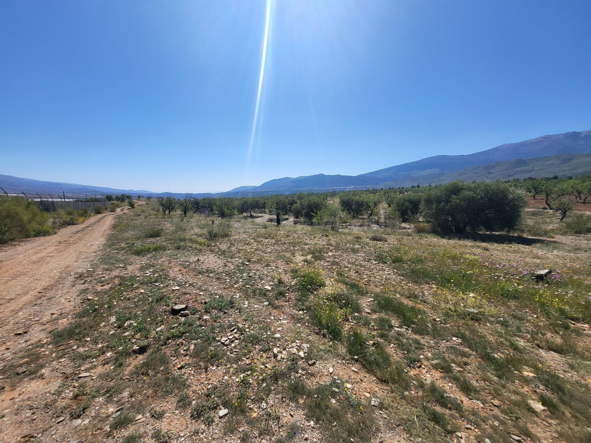 SE VENDE PARCELA  RUSTICA EN ABRUCENA  ZONA CAMPILLO - foto 5