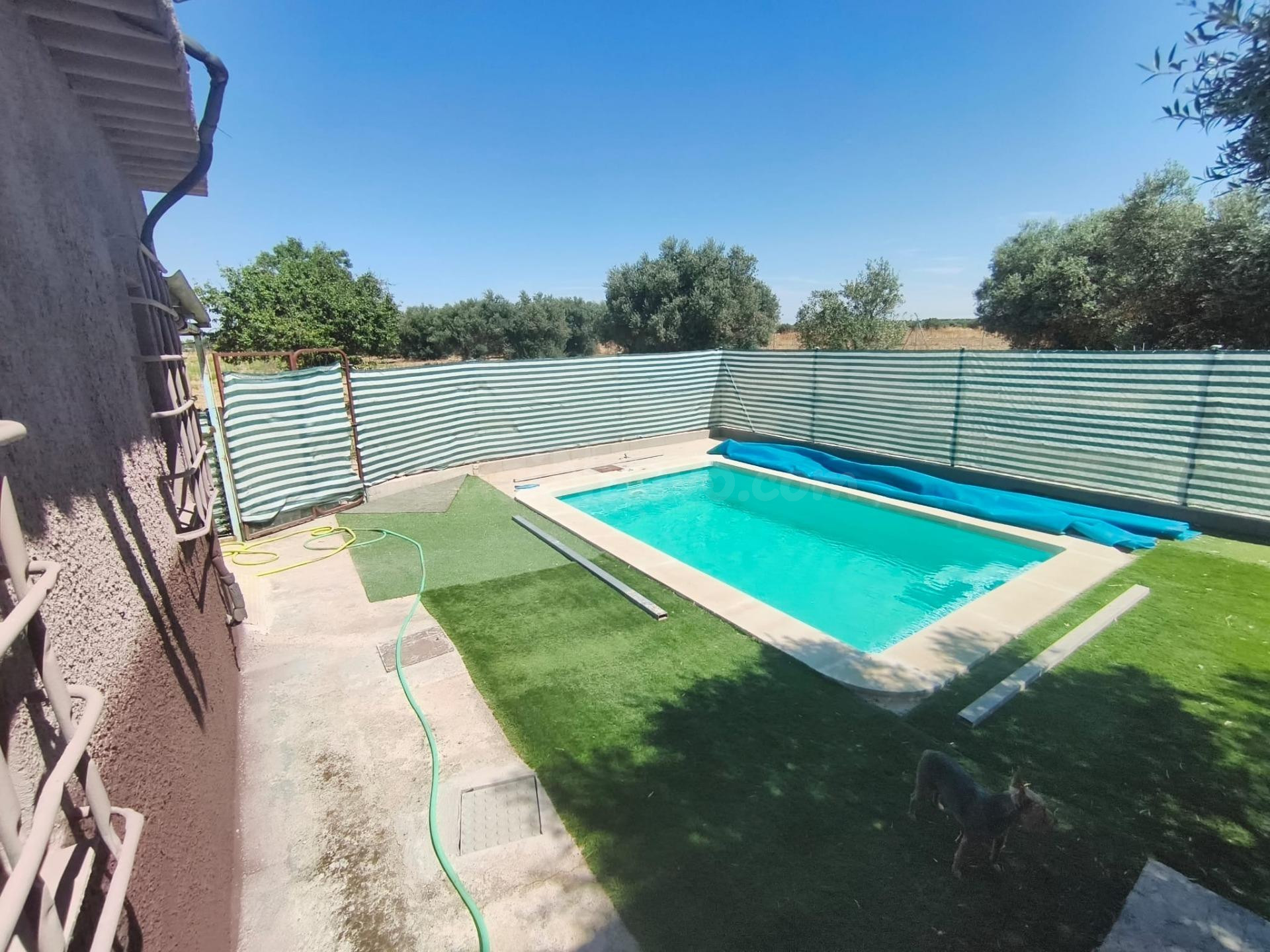 FINCA RUSTICA 8000 M2 CON CASA Y GARAJE - foto 3