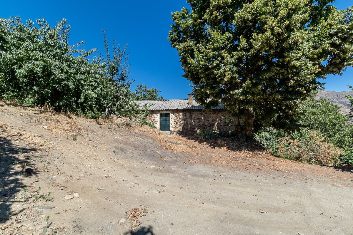 73.000 m2 Finca rústica con vivienda en Güéjar Sierra - foto 4
