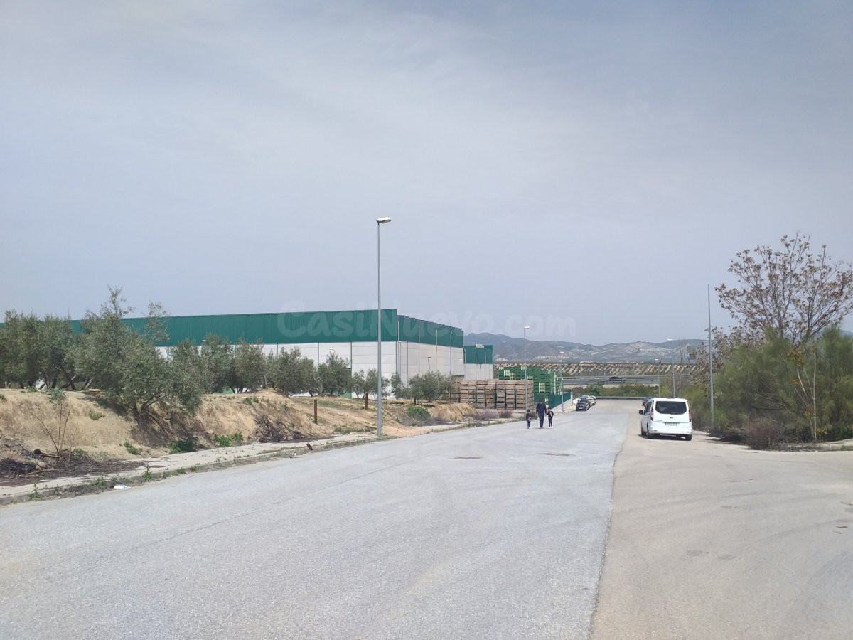 PARCELAS DE USO INDUSTRIAL  UBICADAS EN EL PP-3-I DE LACHAR - foto 4