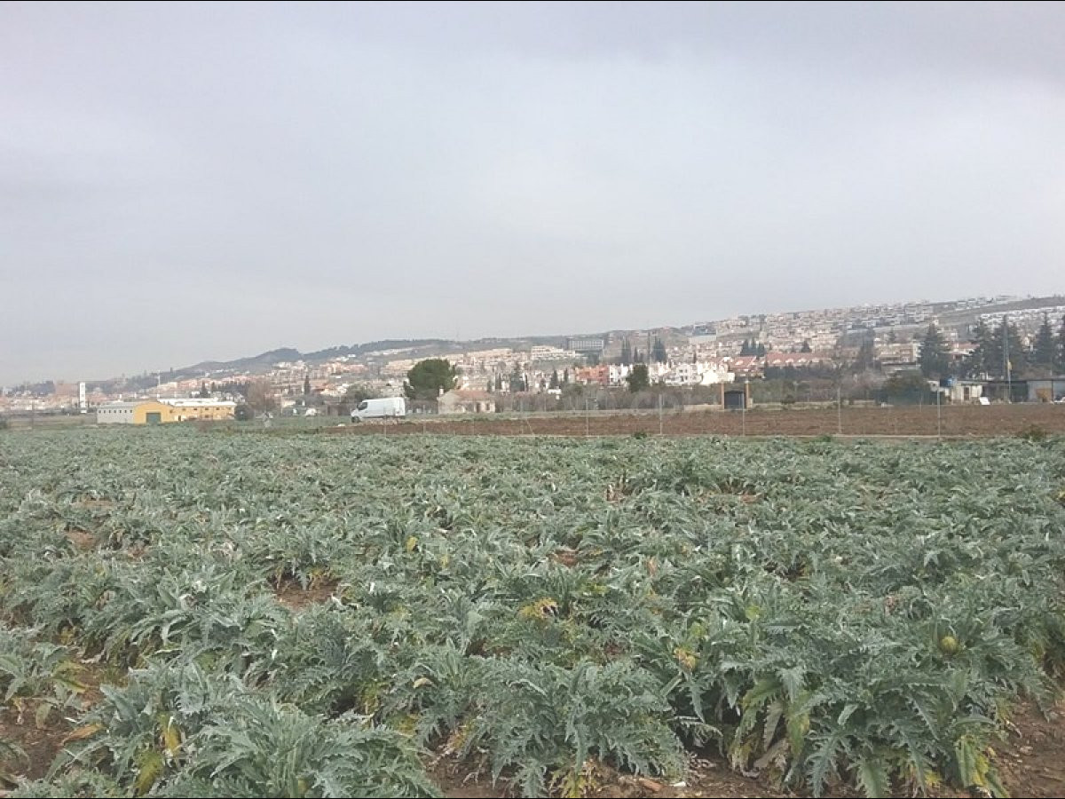 OportUnidad Finca Rústica Pago del Zaidín!!!