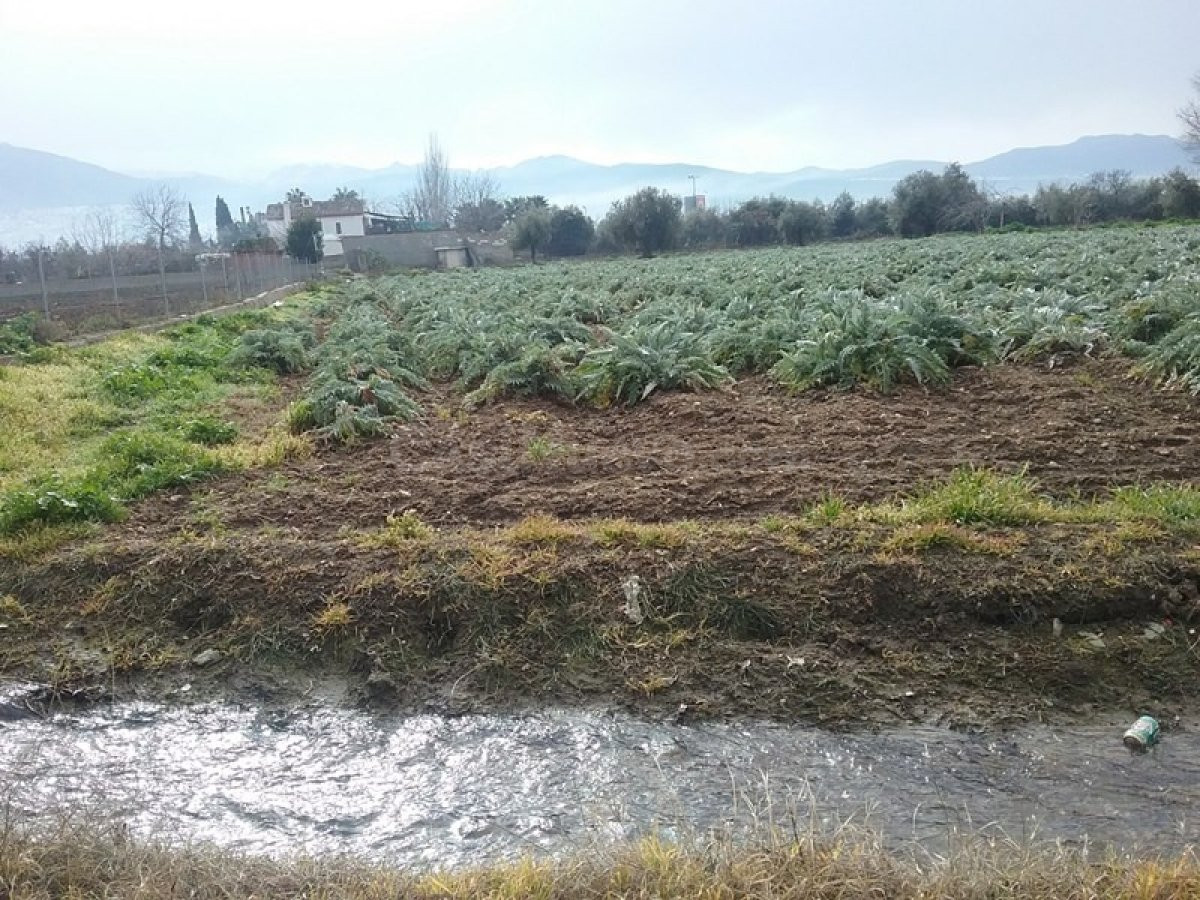OportUnidad Finca Rústica Pago del Zaidín!!! - foto 3
