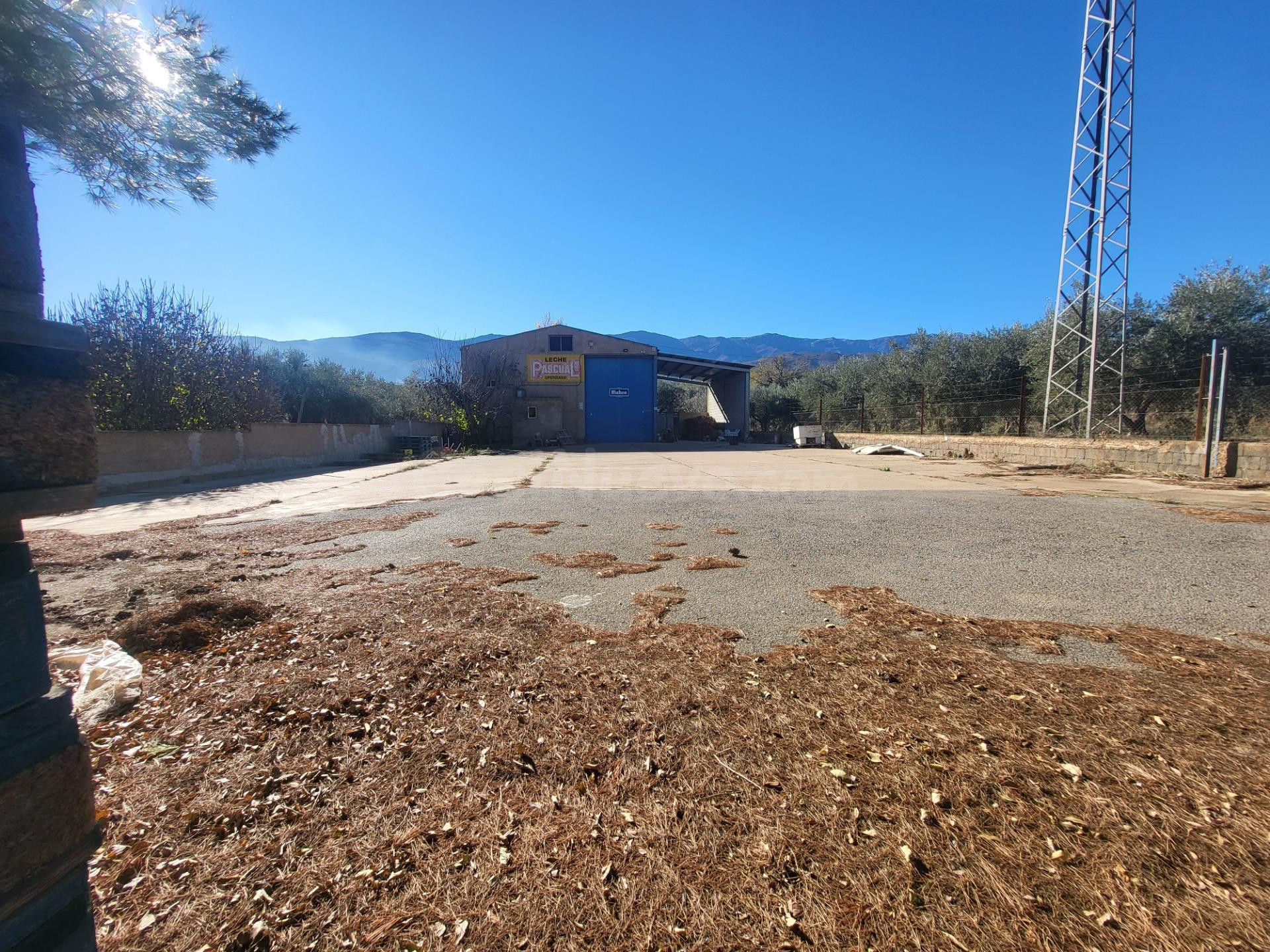 SE ALQUILA NAVE INDUSTRIAL EN ABRUCENA ZONA AUTOVÍA - foto 3