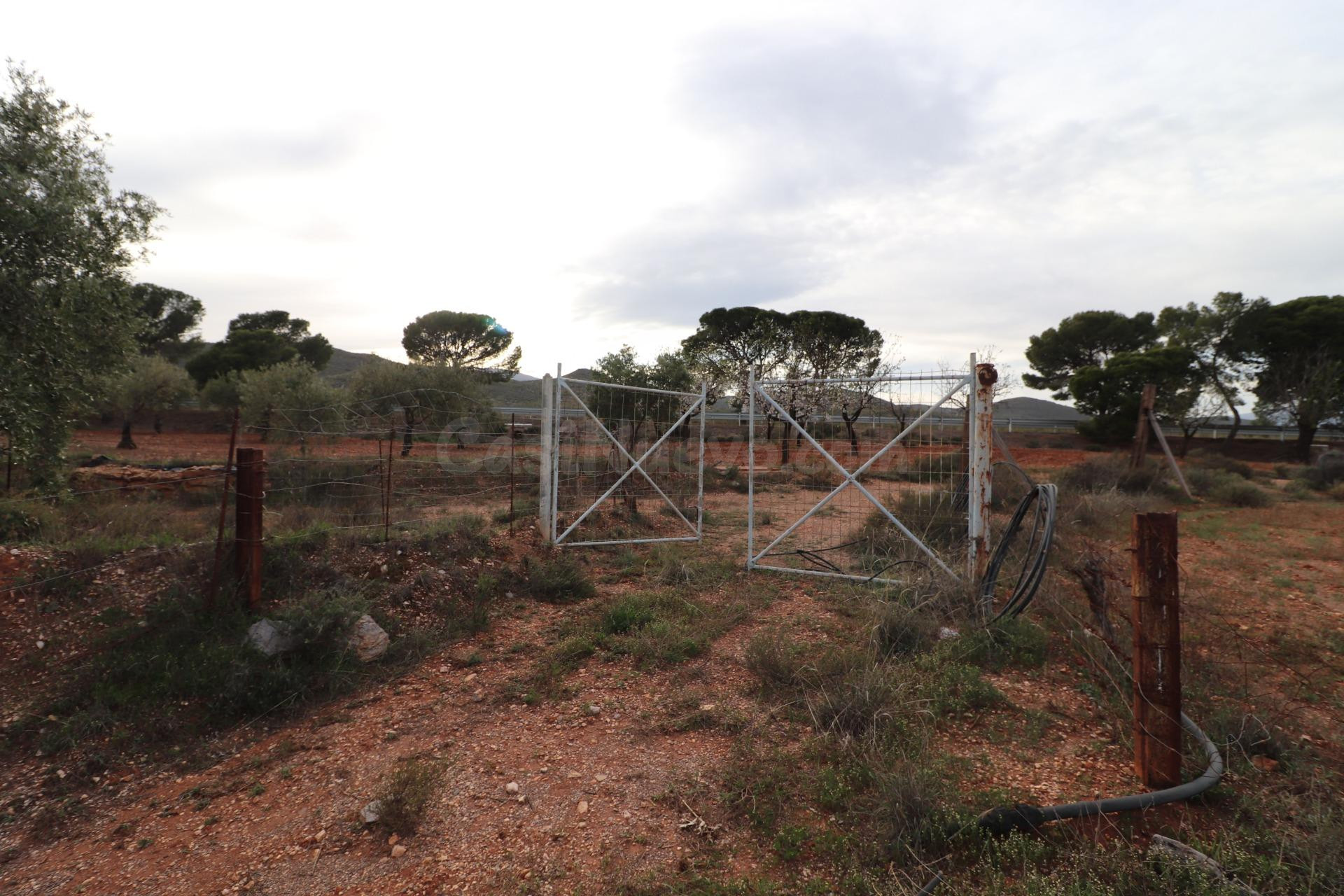 Parcela con casa en Alboloduy, Almeria - foto 5