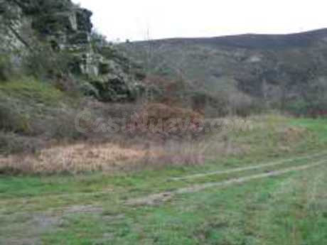 Terreno rural 10000m² en venta - Vega de espinareda