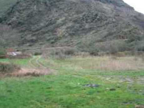 Terreno rural 10000m² en venta - Vega de espinareda - foto 3