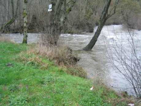 Terreno rural 10000m² en venta - Vega de espinareda - foto 4