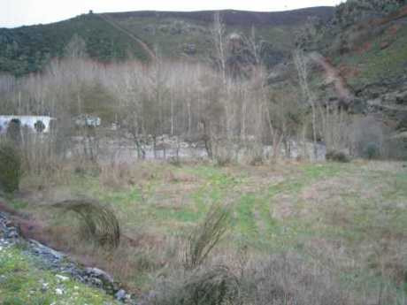 Terreno rural 10000m² en venta - Vega de espinareda - foto 5