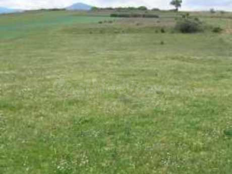 Terreno rural 3700m² en venta - Puente boeza