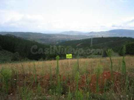 Terreno rural 4200m² en venta - Molinaseca - foto 3