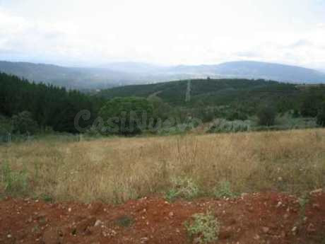 Terreno rural 4200m² en venta - Molinaseca - foto 4
