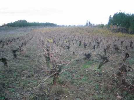 Terreno rural 2900m² en venta - Cabañas raras