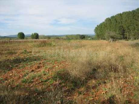 Terreno rural 5000m² en venta - Cortiguera - foto 2