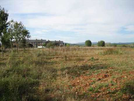 Terreno rural 5000m² en venta - Cortiguera - foto 3
