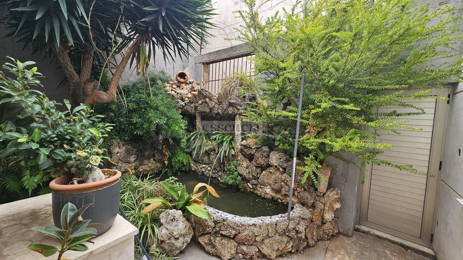 Local comercial en Palmera - foto 4