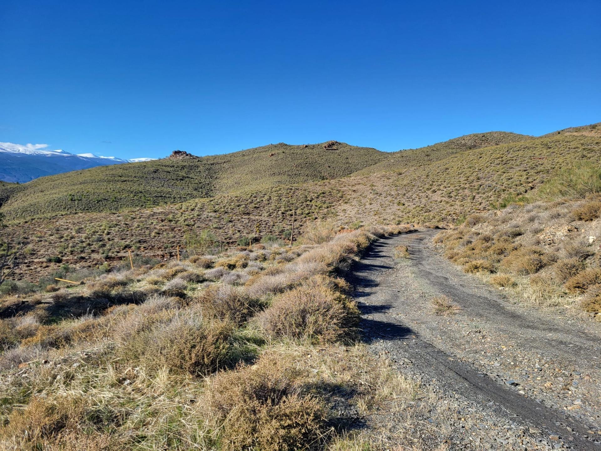SE VENDE FINCA CON CASA EN ABLA Y ESCULLAR