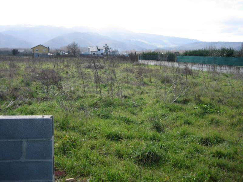 Terreno rural en venta - Dehesas - foto 3