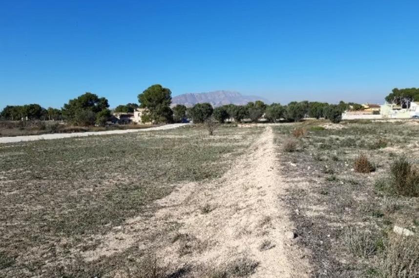 Residencial en venta en Orito, Poligono 11, Monforte del Cid