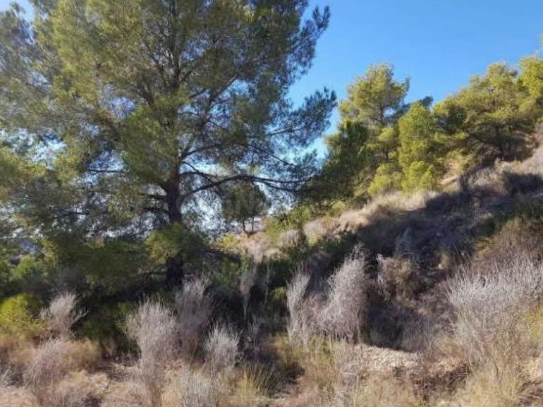 Residencial en venta en Foya del Cac, Finestrat Pueblo - foto 2