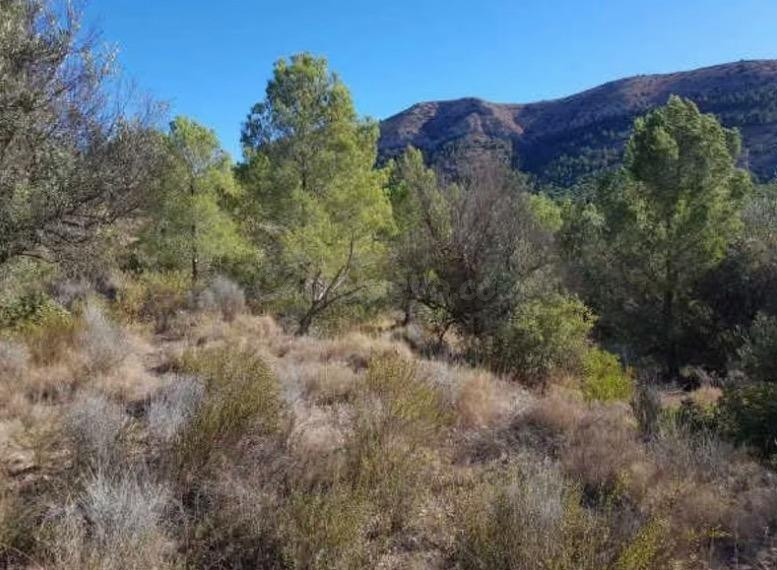 Residencial en venta en Foya del Cac, Finestrat Pueblo - foto 3