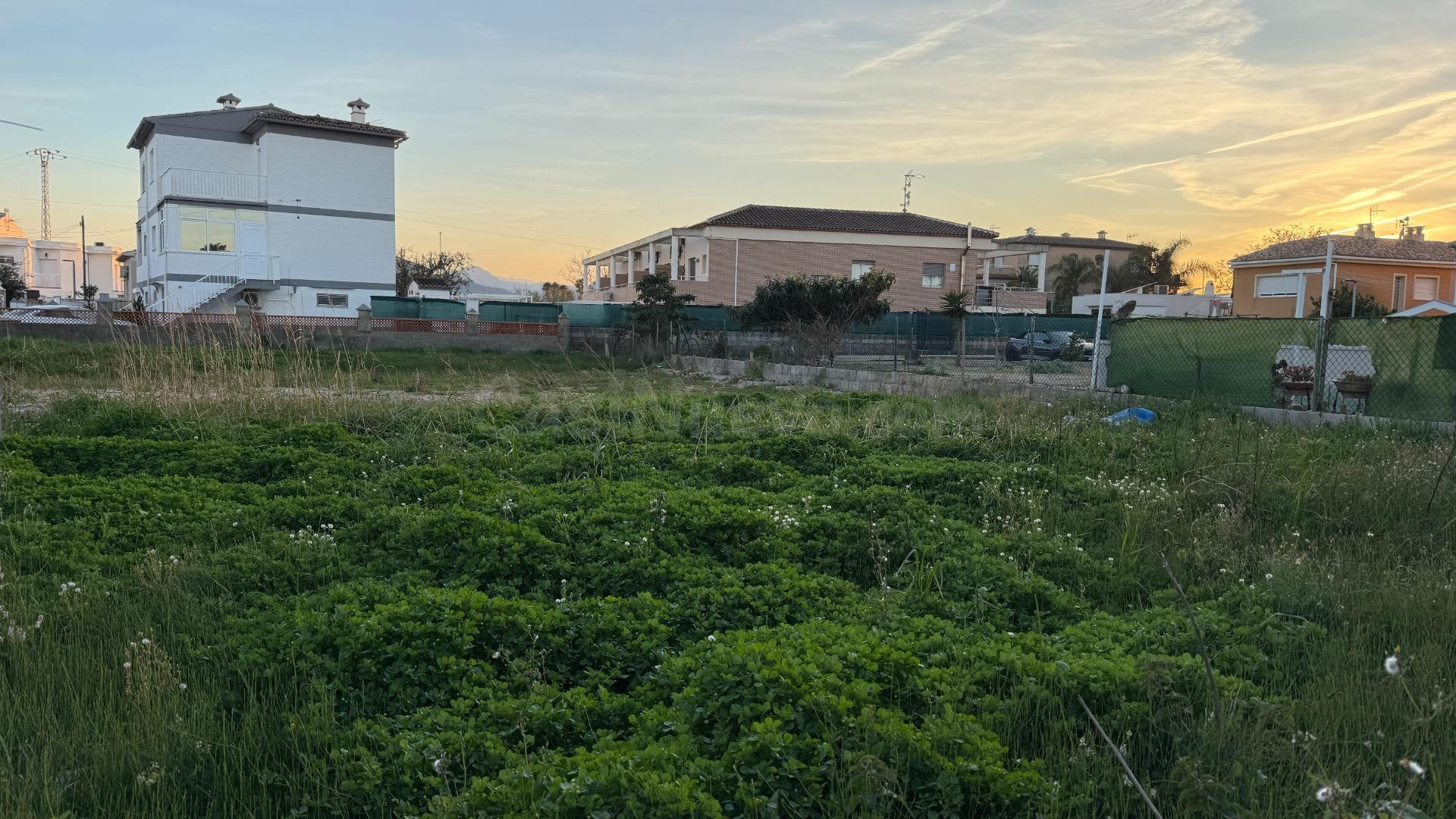 Solar en Oliva Playa – Zona Kiko – 619 m2 – Proyecto aprobad - foto 3
