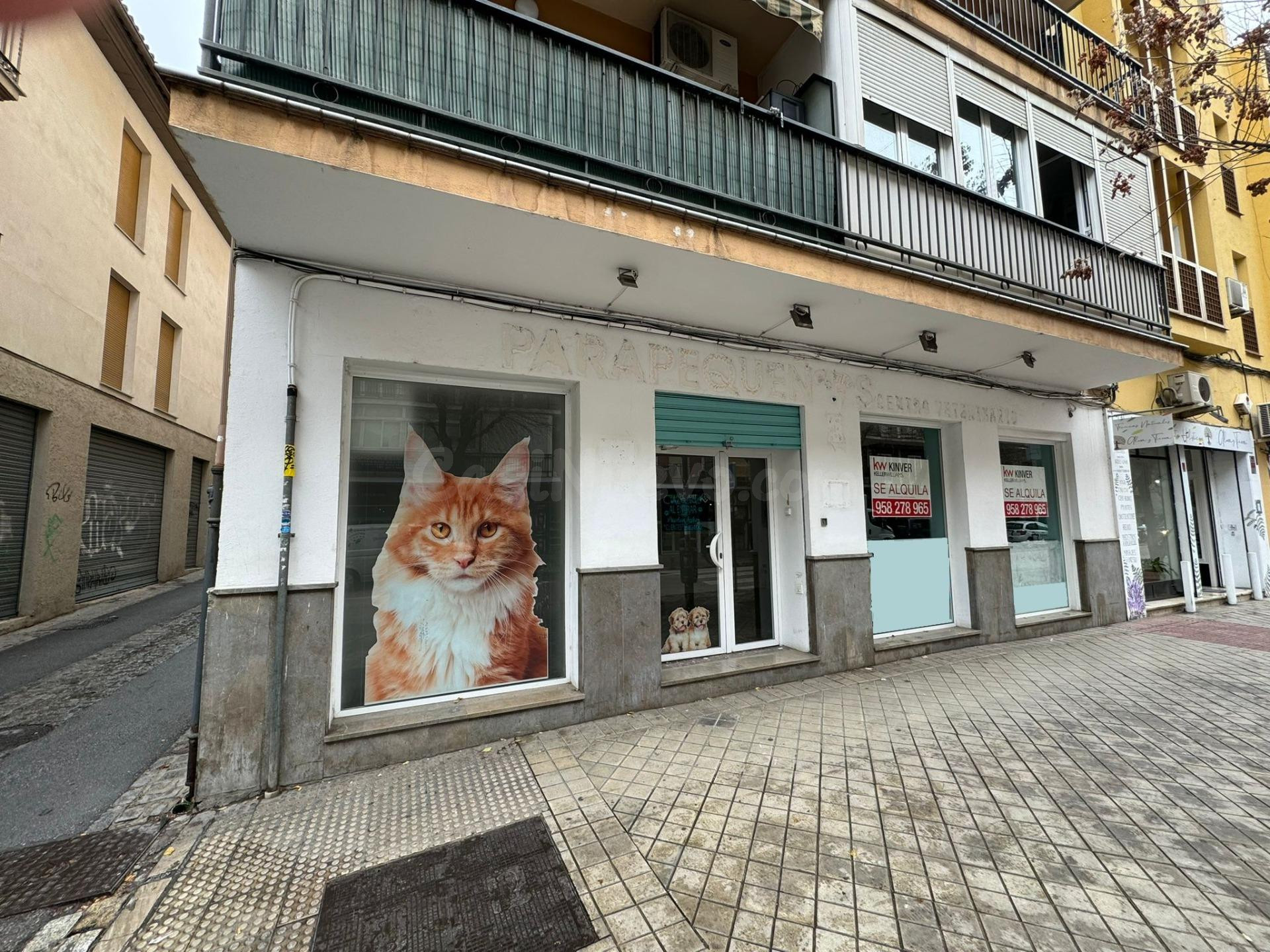 Gran Local Comercial en Ancha de Capuchinos