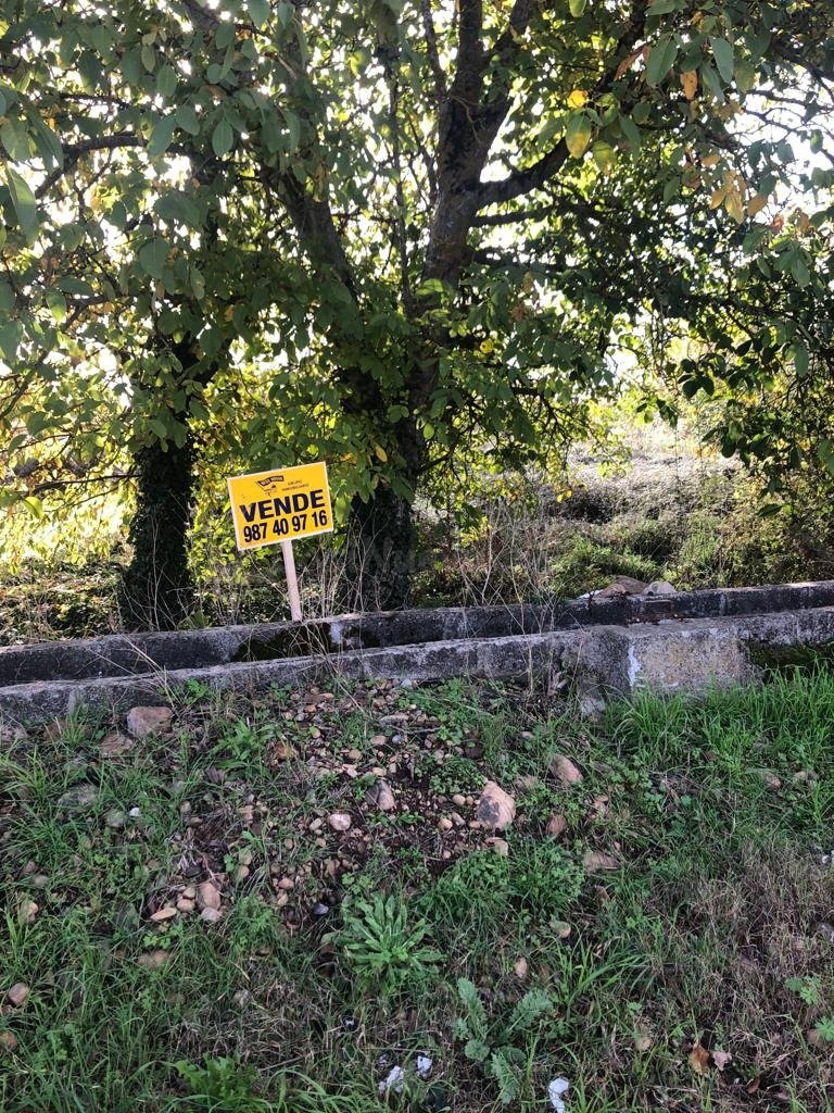 Terreno rural en venta - Carracedelo