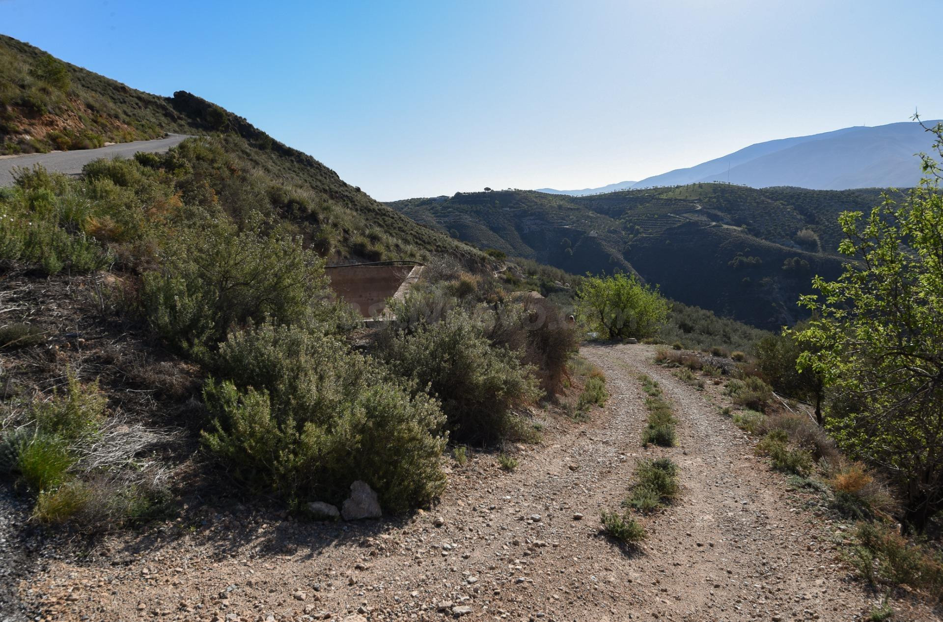 VENTA DE BONITA FINCA DE OLIVOS EN LANJARÓN (GRANADA) - foto 2