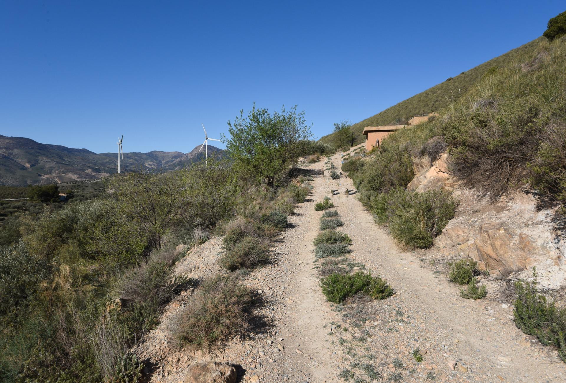 VENTA DE BONITA FINCA DE OLIVOS EN LANJARÓN (GRANADA) - foto 3