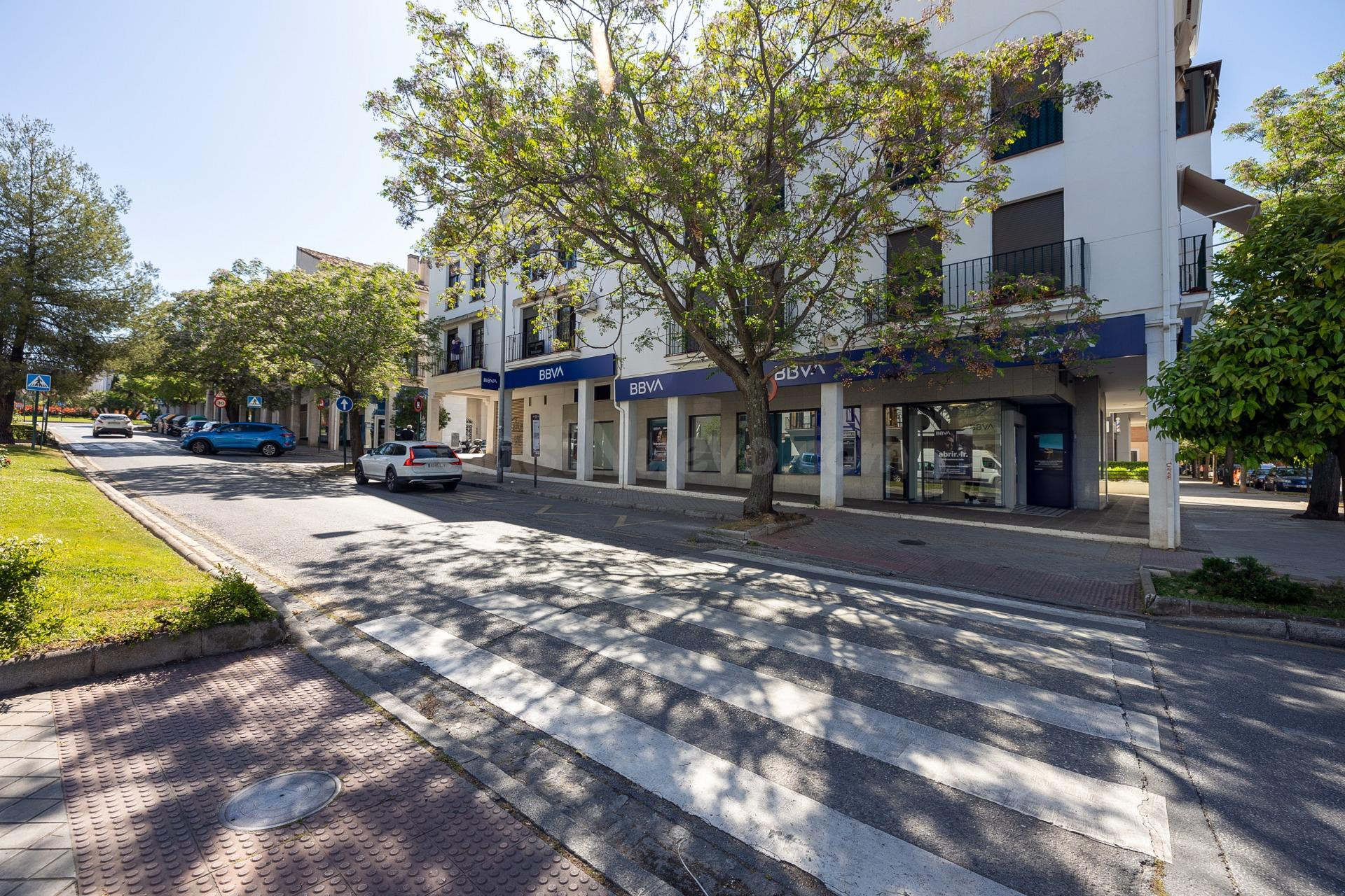 LOCAL COMERCIAL - CERRO DE LOS MACHOS.