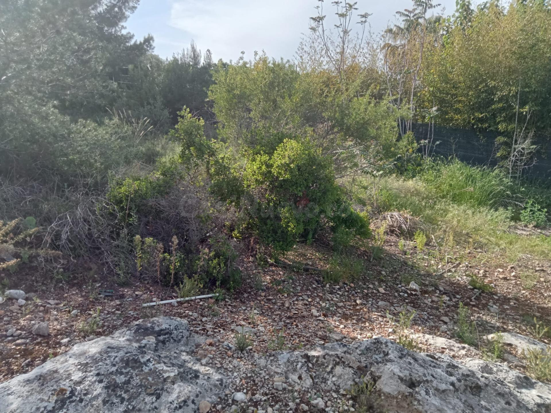 PARCELA URBANA EN VENTA EN ENTORNO NATURAL URB. SAN CRISTOBA