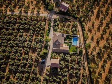 Finca en el término "Los LLanos " en Moraleda de Zafayona a  - foto 4