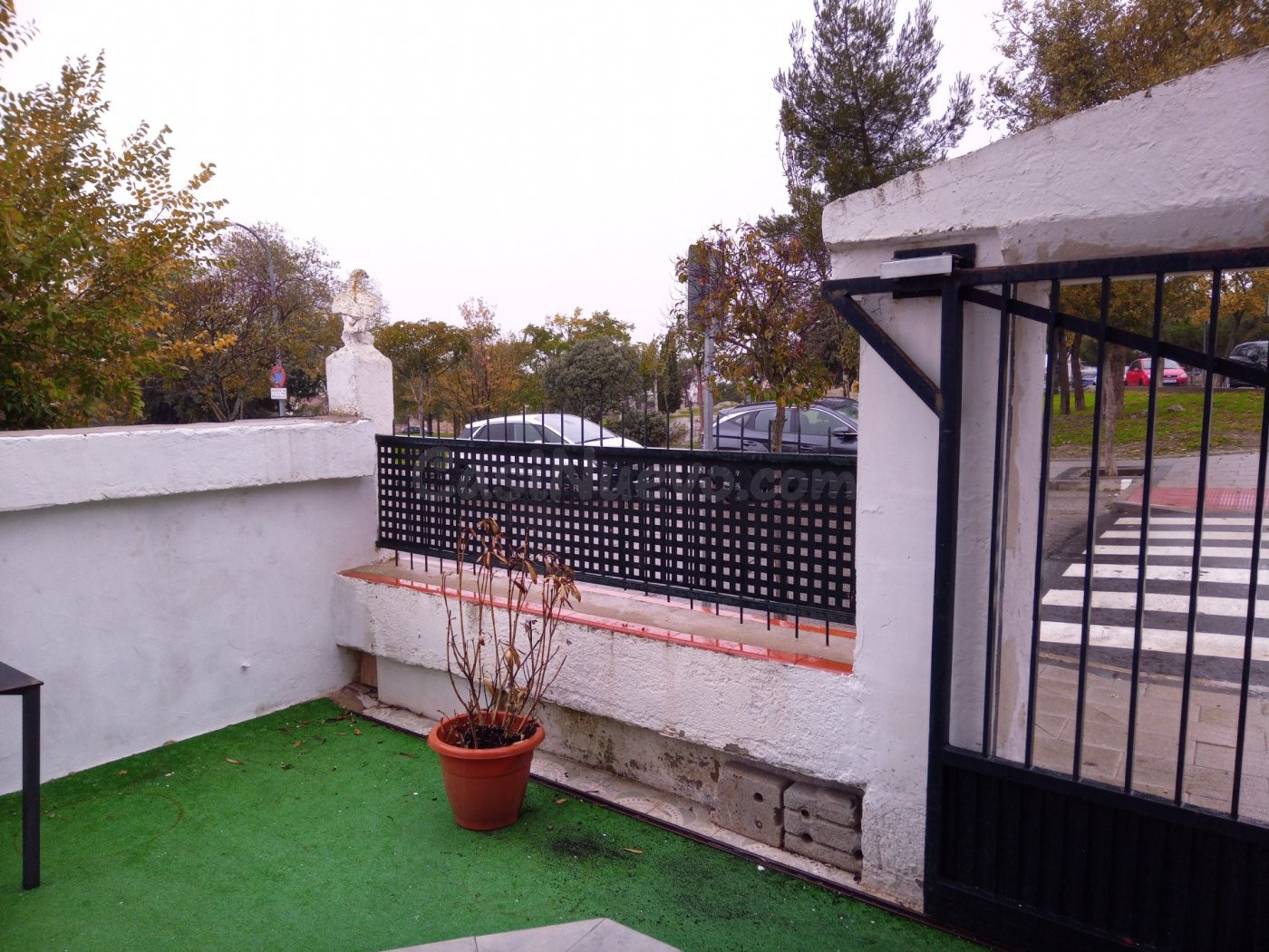 Venta Casa/Chalet y Cafetería en Colmenar Viejo. - foto 2