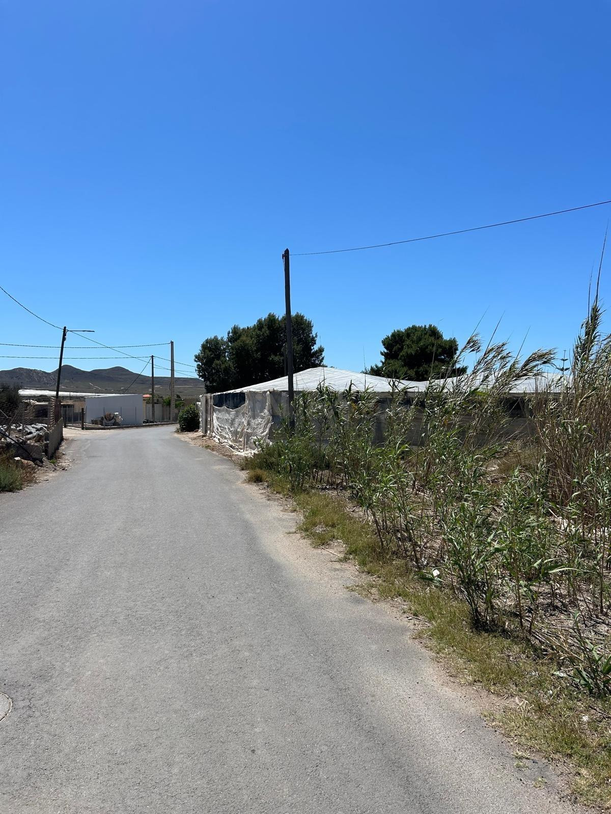 FINCA RÚSTICA EN NIJAR - ZONA LOS NIETOS. - foto 3