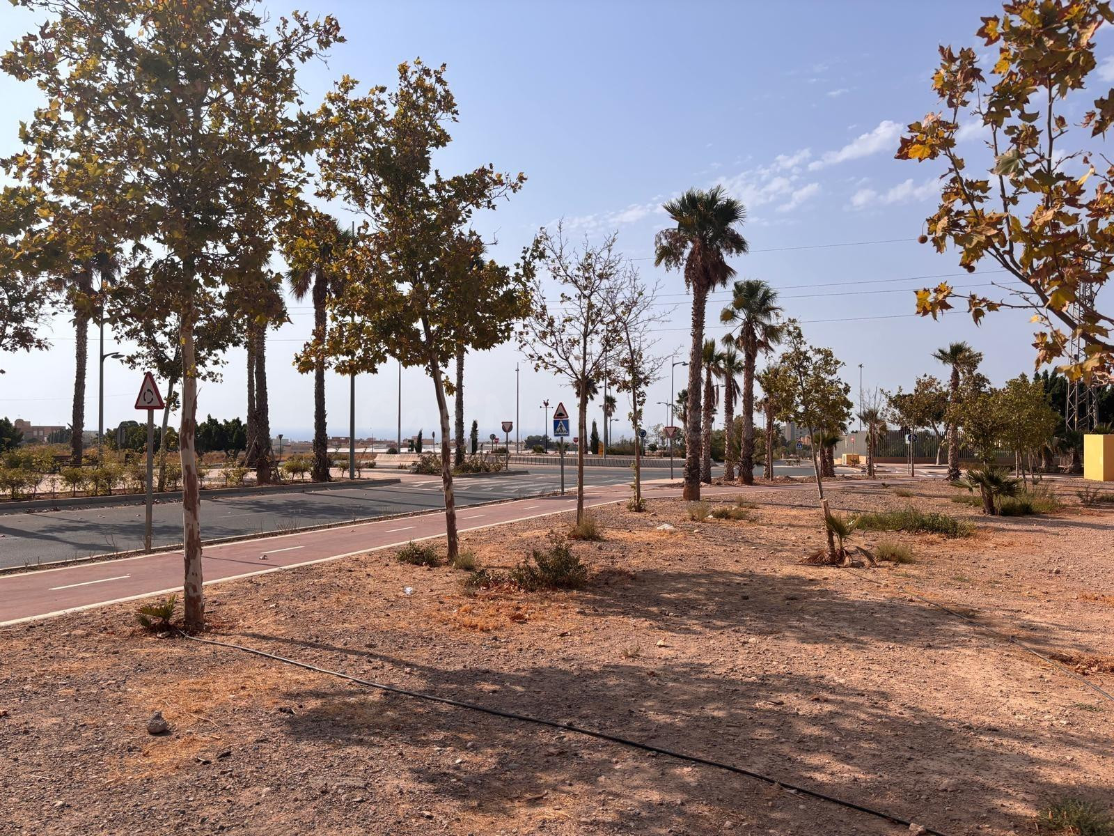 Tu parcela en el corazón de Las Cabañuela desde 55.000€ - foto 4